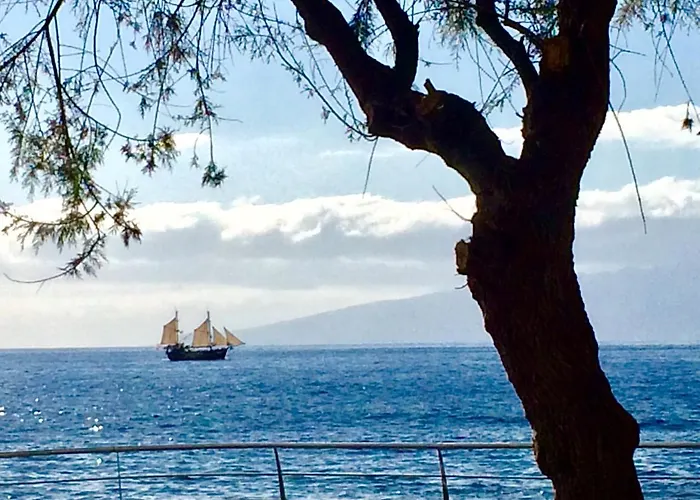 Penthouse 2 בית נופש